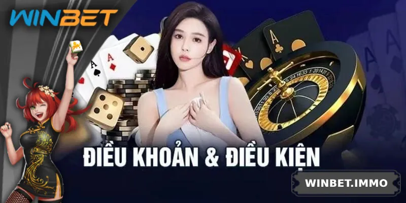 Cam kết và nghĩa vụ người dùng