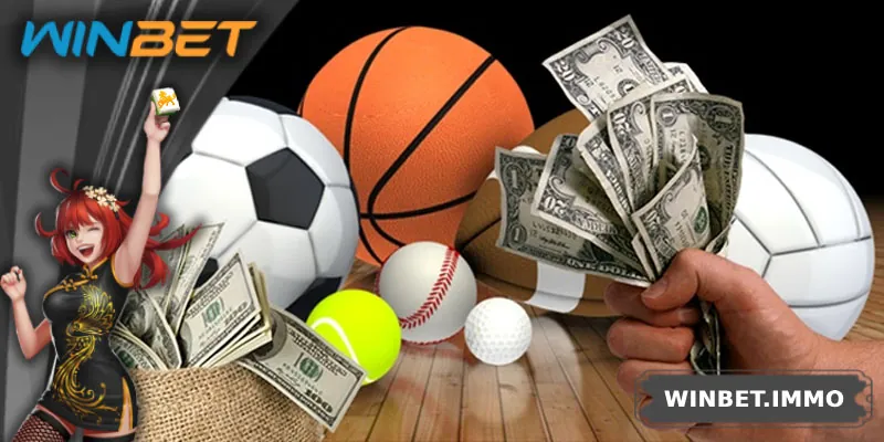 Được cấp phép rõ ràng, vận hành minh bạch