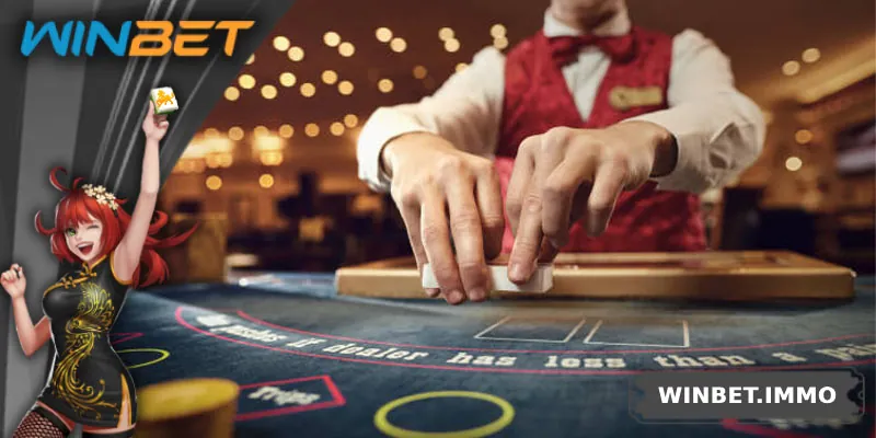 FAQs khi trở thành đại lý