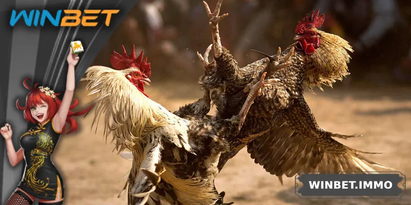 Một số điểm cần quan tâm khi đặt cược