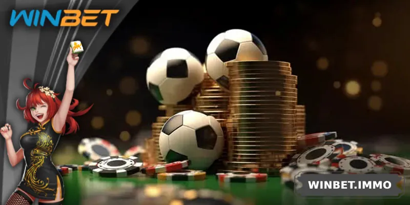 Những điều cần quan tâm trong lúc tải và sử dụng ứng dụng