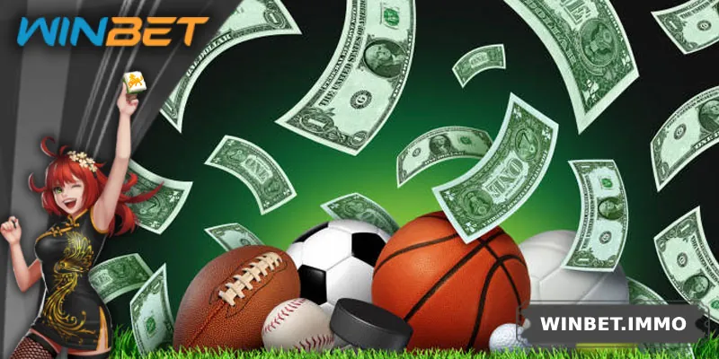 Những việc cần làm khi đọc chính sách miễn trách nhiệm