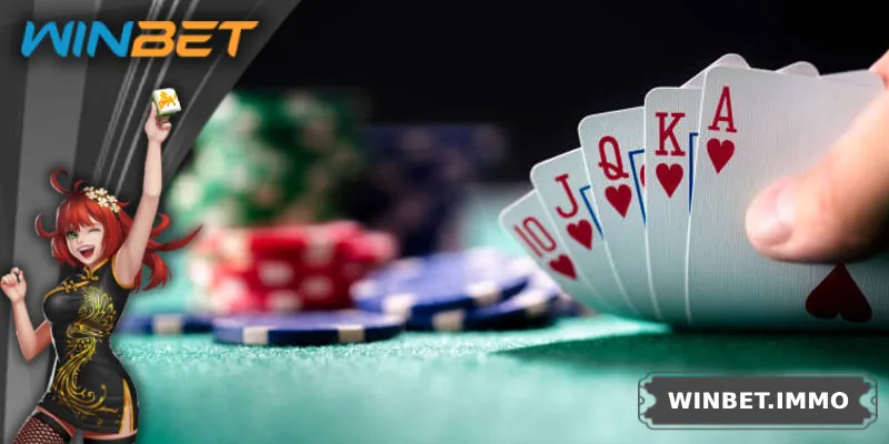 Poker Online - Trò Chơi Cá Cược Trí Tuệ Cực Hấp Dẫn