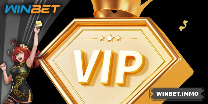 Tiêu chí và quy trình tham gia chương trình VIP