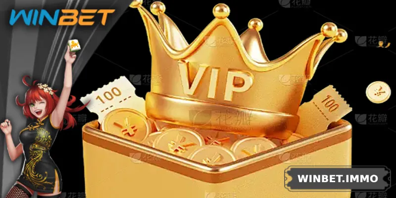 Tìm hiểu chi tiết chương trình VIP