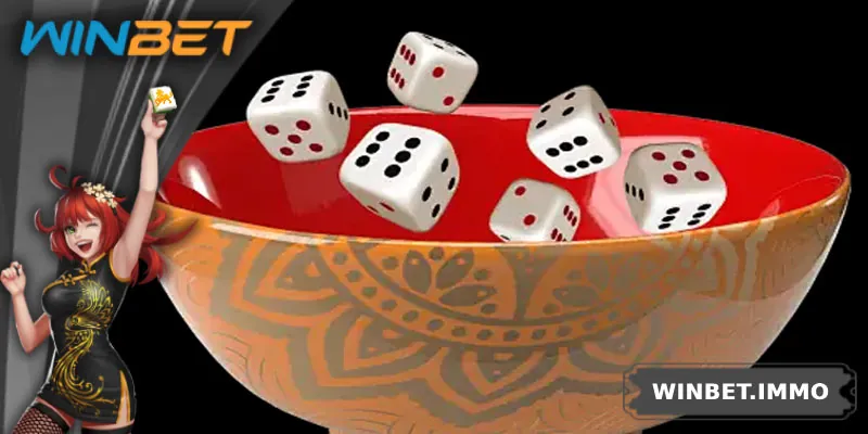 Tìm hiểu chi tiết xóc đĩa