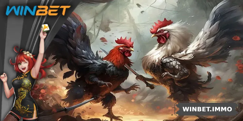 Tìm hiểu hình thức đá gà tre