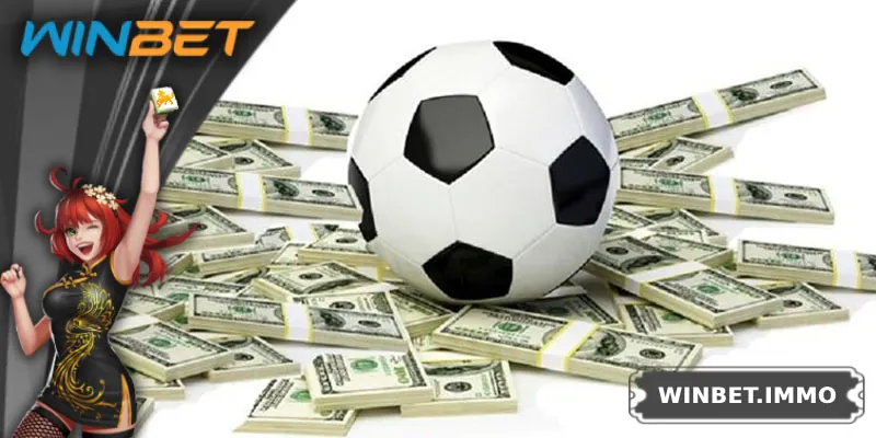 Tìm hiểu khái niệm miễn trách nhiệm